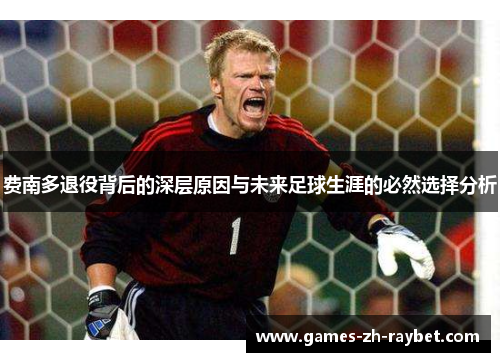 费南多退役背后的深层原因与未来足球生涯的必然选择分析