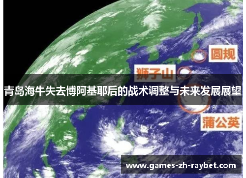 青岛海牛失去博阿基耶后的战术调整与未来发展展望